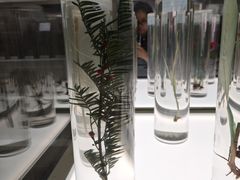 -北京中医药大学-中医药博物馆