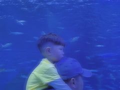 -多彩贵州城极地海洋世界