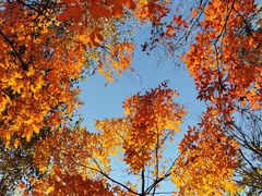 -长春市南湖公园