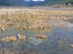 -泸沽湖国家级风景名胜区走婚桥