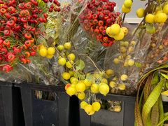 -循礼门鲜花花市(武汉循礼门店)