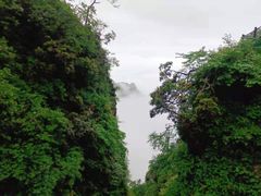 -峨眉山风景名胜区
