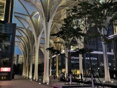 -小龙坎老火锅(北京三里屯店)