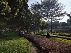 -天河儿童公园