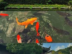 -宁波市保国寺古建筑博物馆