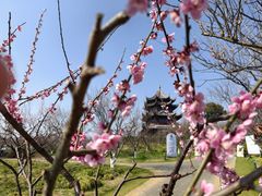 -上海海湾国家森林公园