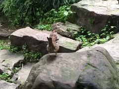 -岳麓山风景名胜区