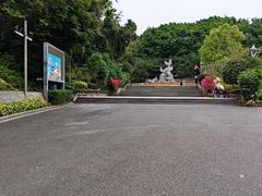-金鸡山公园