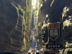 -梭布垭石林景区