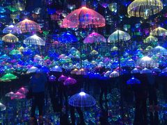 -天津梵高星空艺术馆(天河城旗舰店)