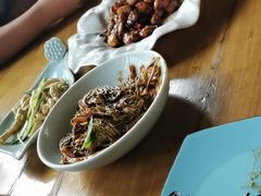 -局气 烤鸭·北京菜(光华路店)