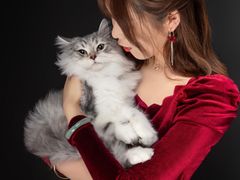 -一墨照相馆·证件照·形象照(世博店)