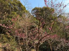 -黄公望隐居地