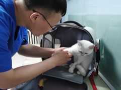 -天时宠物医院24小时疑难病例会诊中心(顾乡大街总院)