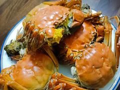 -天鹅到家·保姆月嫂育儿嫂(蔚蓝海岸店)