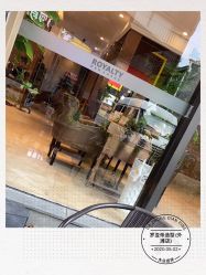 -罗亚帝造型