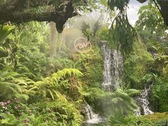 -Chom Cafe and Restaurant