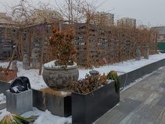 -悦融·京鲁菜·露台花园(安定门店)