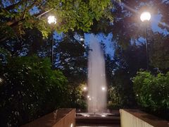 -九龙公园