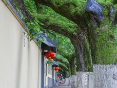 -颐和路民国时期公馆风貌区