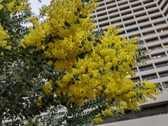 -广州花园酒店
