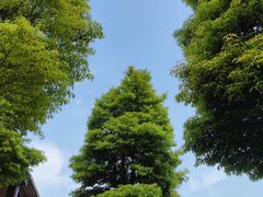 -梁子湖东篱老屋生态庄园