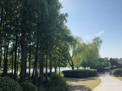 -尚贤河湿地