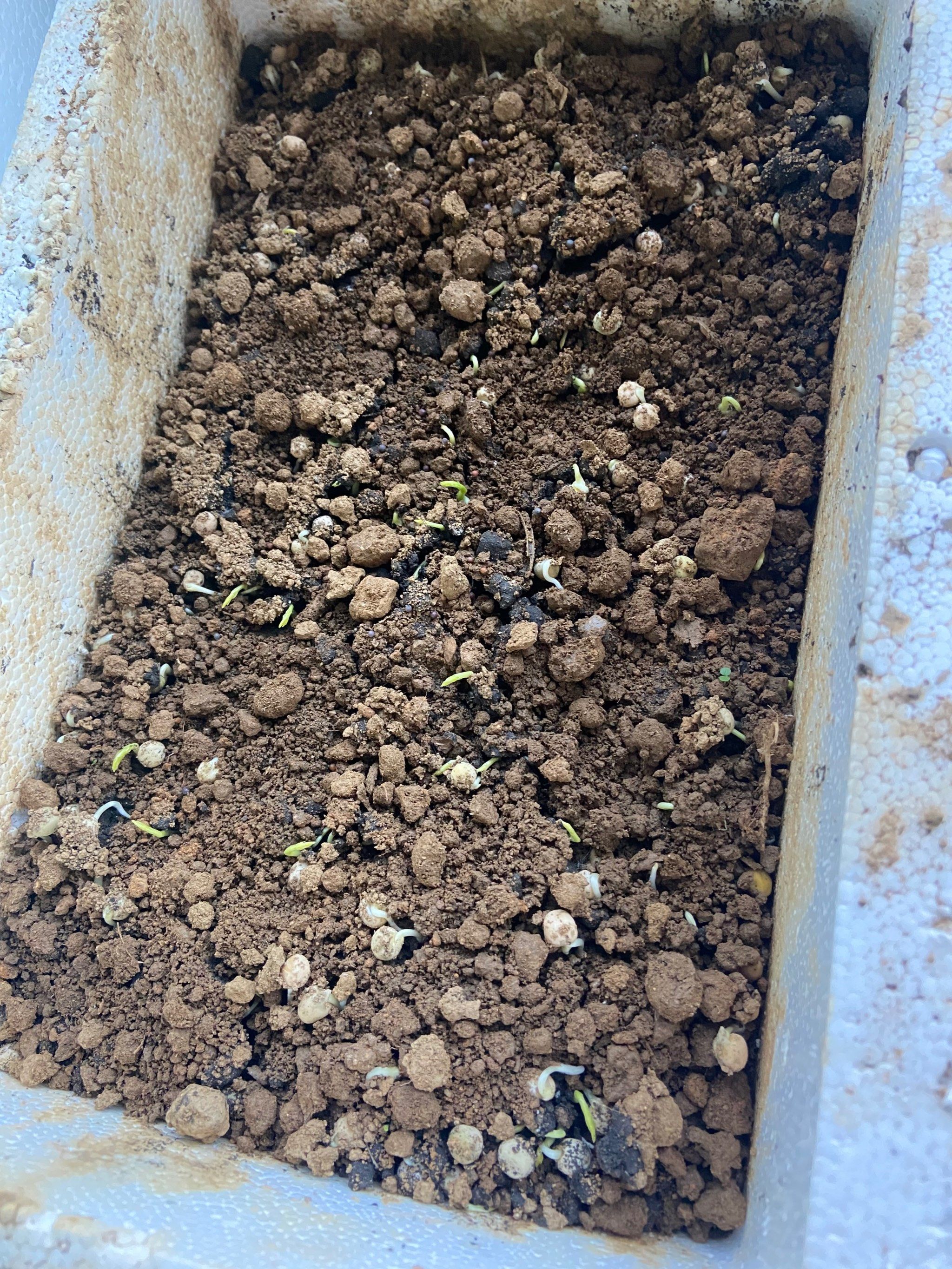 0元玩转这座城每天成长一点点,我们一起进步