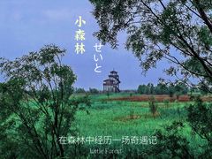 -野鸭湖国家湿地公园