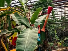 -呀路古热带植物园