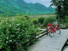 -中国茶叶博物馆(双峰馆区)
