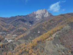 -芦芽山旅游度假区
