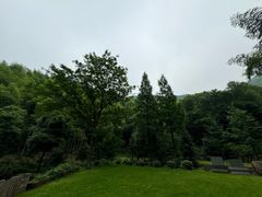 -仙霞关景区