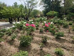 -江南大学(蠡湖校区)