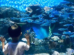 -华夏文旅海洋公园