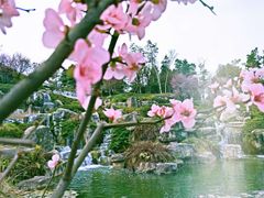 -秀丽东方