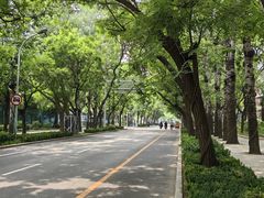 -申德勒加油站餐厅(三里屯北小街店)