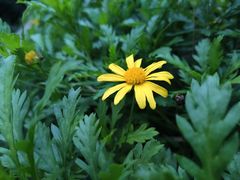 -成都中医药大学(温江校区)