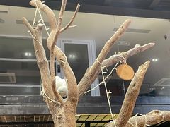 -古琢小馆·珠海味(南方软件园店)