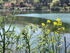 -南山风景名胜区