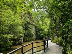 -茅兰沟国家森林公园