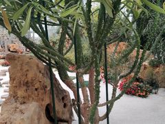 -南通洲际绿博园