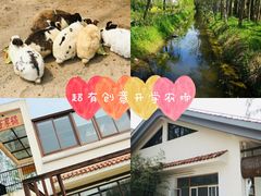 -前小桔亲子创意农场·草莓采摘·露营烧烤