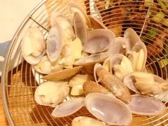 -凯华海鲜火锅·传承三十六年