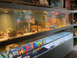 -周忆刺青原创设计定制