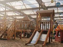 -南宫五洲植物乐园