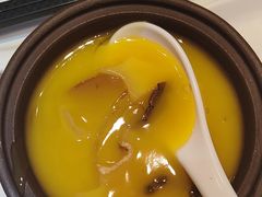 -半岛听涛蒸汽海鲜自助(K11店)