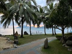 -日落吧·海景咖啡厅·餐酒吧·鸡尾酒·下午茶·乐队表演·浪漫夕阳·三亚文华东方酒店