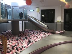 -龙格亲子游泳·水育早教运动中心(绿城店)