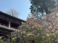 -潭柘寺景区